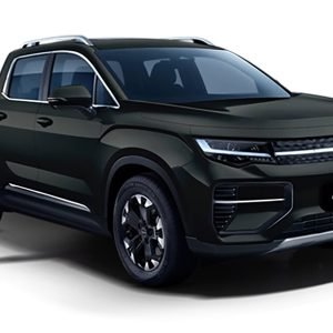 Riddara RD6 Electric Pickup truck